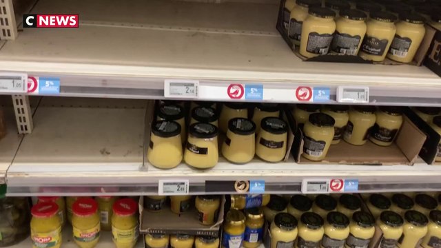 Pénurie de moutarde : la Bourgogne va doubler sa production de graines de moutarde