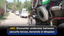 Encounter underway between security forces, terrorists in Jammu and Kashmir's Shopian