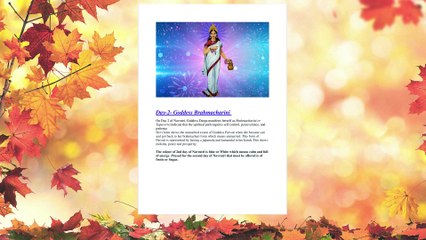 The Festival-Devi Navratri 9  Days 9  Devi Avatara's Worship Godess