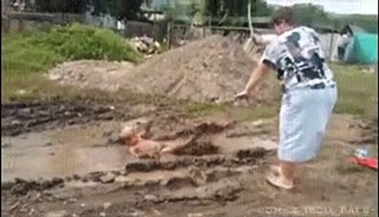 Funny video #21