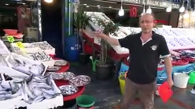 Karadeniz'de palamut bereketi! Fiyatı yarı yarıya düştü