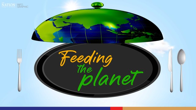 Plant-based meat – food of the future | The Nation