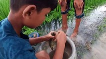 Little Boy Hook Fishing in Village Rice Field Flood Water and village life