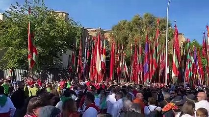 Pendones por San Froilán