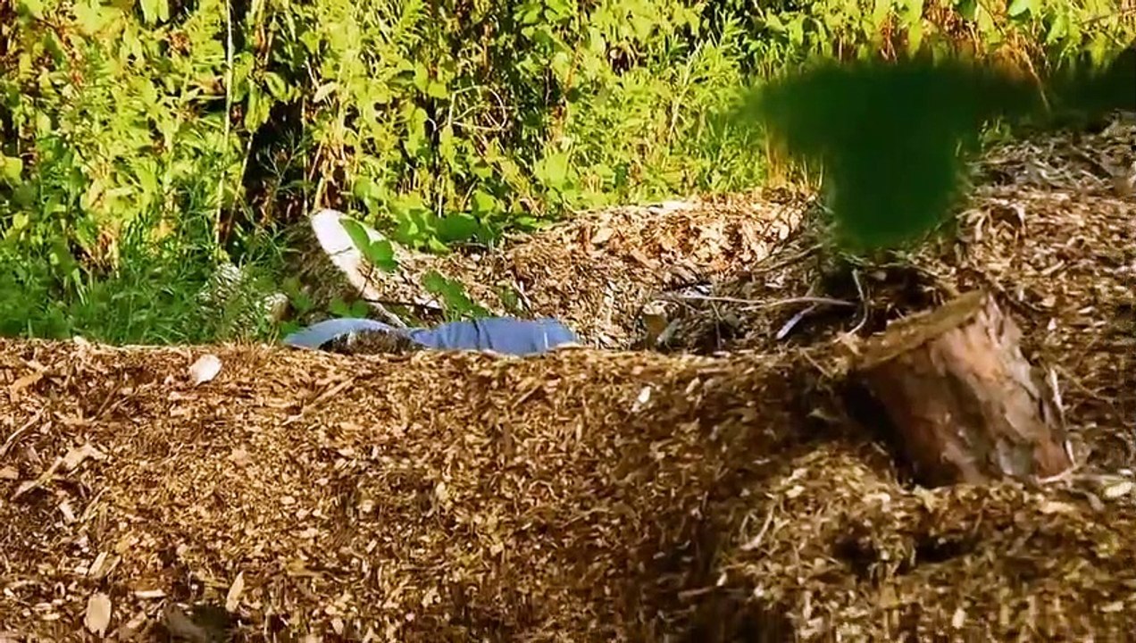 Hunted - Jagd durch die USA Staffel 1 Folge 8 HD Deutsch