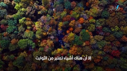 دولة تمر بـ 6 فصول موسمية في العام بدلاً من 4