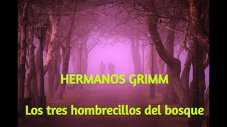 Los Tres Hombrecillos del Bosque | Los Hermanos GRIMM Cuentos Originales| Audiolibro en español