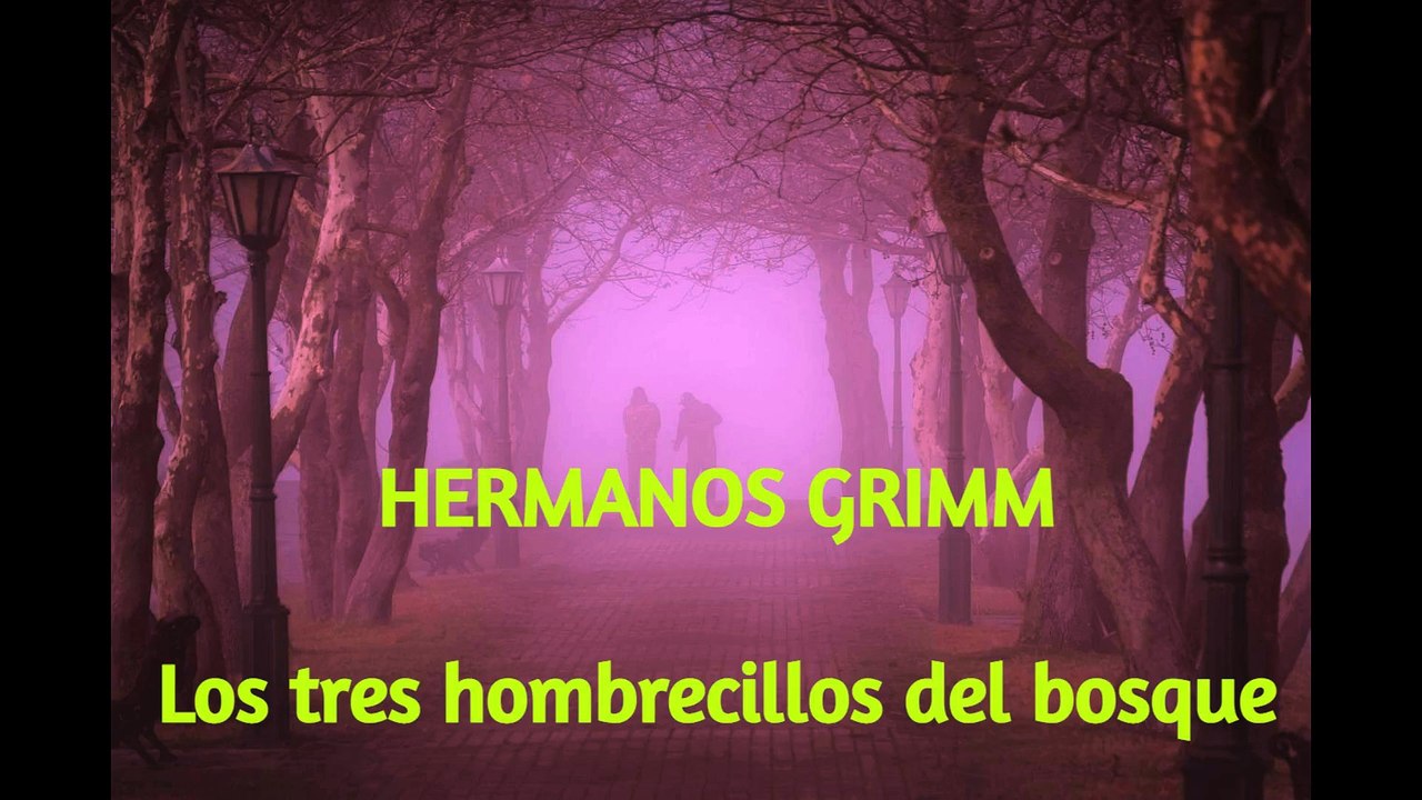 Los Tres Hombrecillos del Bosque | Los Hermanos GRIMM Cuentos Originales| Audiolibro en español