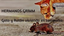 Gato y ratón viviendo en compañía | Los Hermanos GRIMM Cuentos Originales| Audiolibro en español