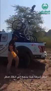 Dubai Police officer rescues falcon stuck in tree in viral video