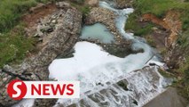 Two factories in Beranang probed for dumping pollutants in Sungai Kabul