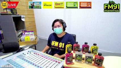 มะละกอพันธ์ูไหน ปลูกกินก็ได้ ปลูกขายก็รุ่ง : FM91 เกษตรทำเอง : 2 ตุลาคม 2565