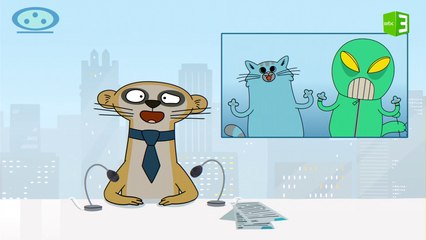 غزو فضائي يعتقد بسبب القطط والنتيجة..