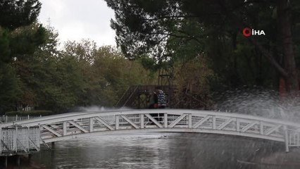 (SAKARYA-ÖZEL)Sakarya'da sonbahar manzarası