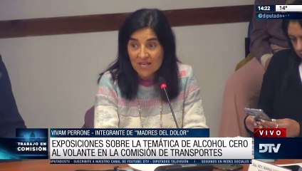 Diputados: con invitados comenzó el debate sobre el proyecto de Alcohol cero al volante