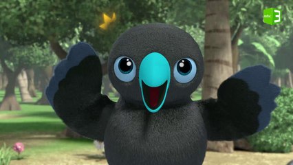 غراب هاواي يبحث عن أدوات للطهي