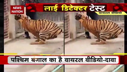 Tiger Attack on Human ? : 'मौत' को गले लगाने वाला शख्स कौन ?