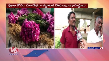 Télécharger la video: Huge Demand For Gunugu puvvu&  Thangedu puvvu, Villagers Facing Problems _ Medak _ V6 News