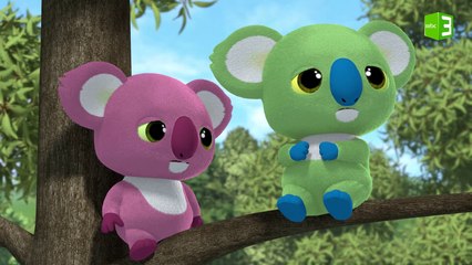 البحث عن حيوان الكوالا الجائع