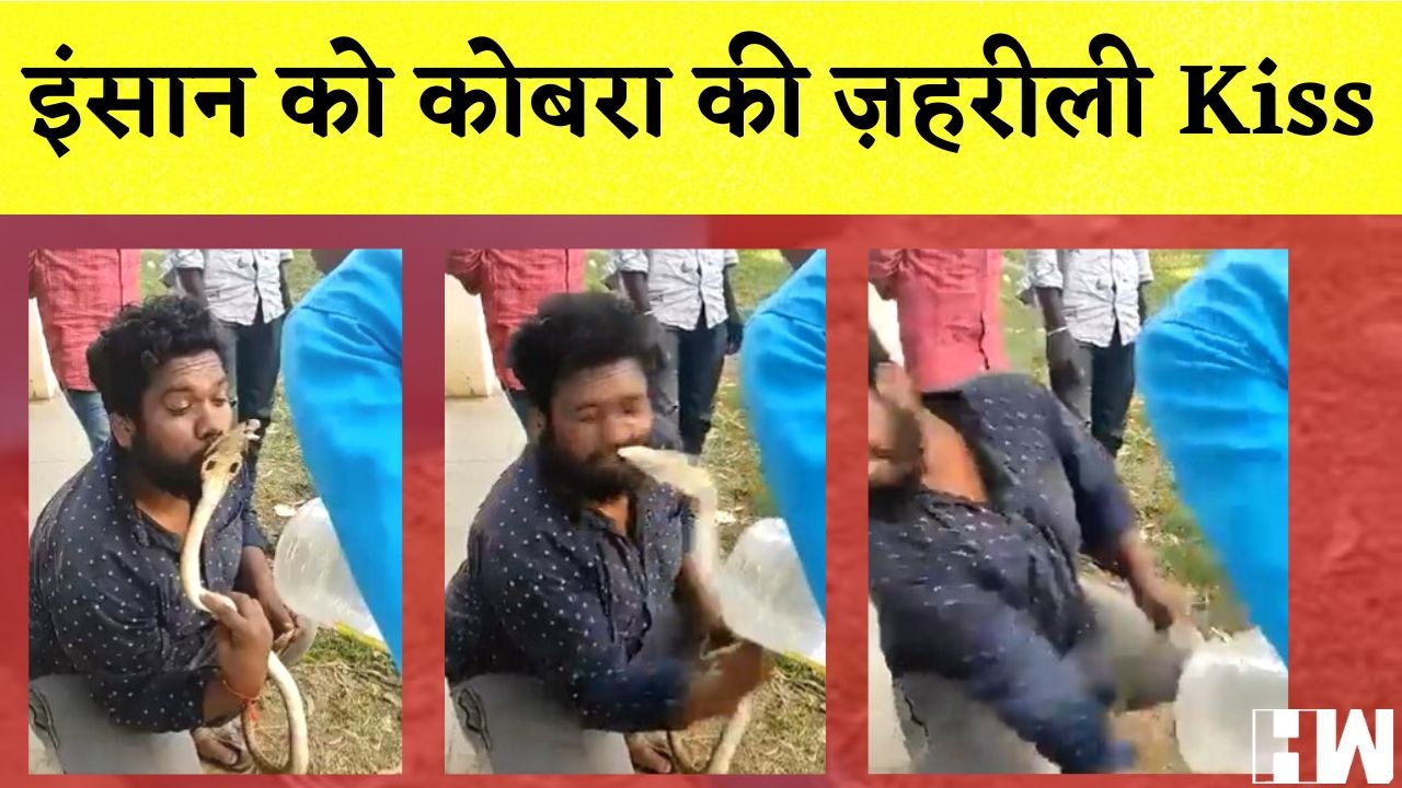 Karnataka में इंसान को King Cobra की ज़हरीली Kiss I Viral Video I Cobra Bite | Snake | Animal Lover