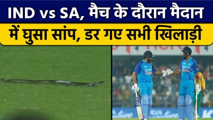 IND vs SA: Live मैच में घुसा Snake, 10 मिनट तक रोकना पड़ा मुकाबला, Video | वनइंडिया हिंदी *Cricket