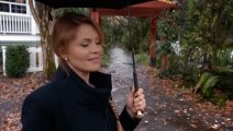 Aurora Teagarden : Un crime en héritage Bande-annonce (EN)