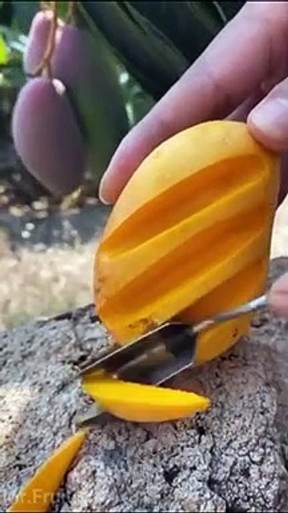 Fruit Farm In China - Fruit Satisfying Fresh - Fruit Cutting