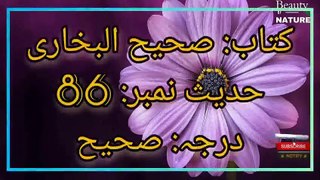 Sahih Bukhari Hadees No.86 _ Hadees Nabvi in Urdu _ Bukhari Hadees _ Beauty of NatureAR