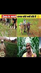 Tracktor Tyres  Facts videos