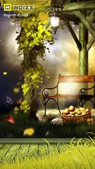 Friends short video - music dese chora trading viral video