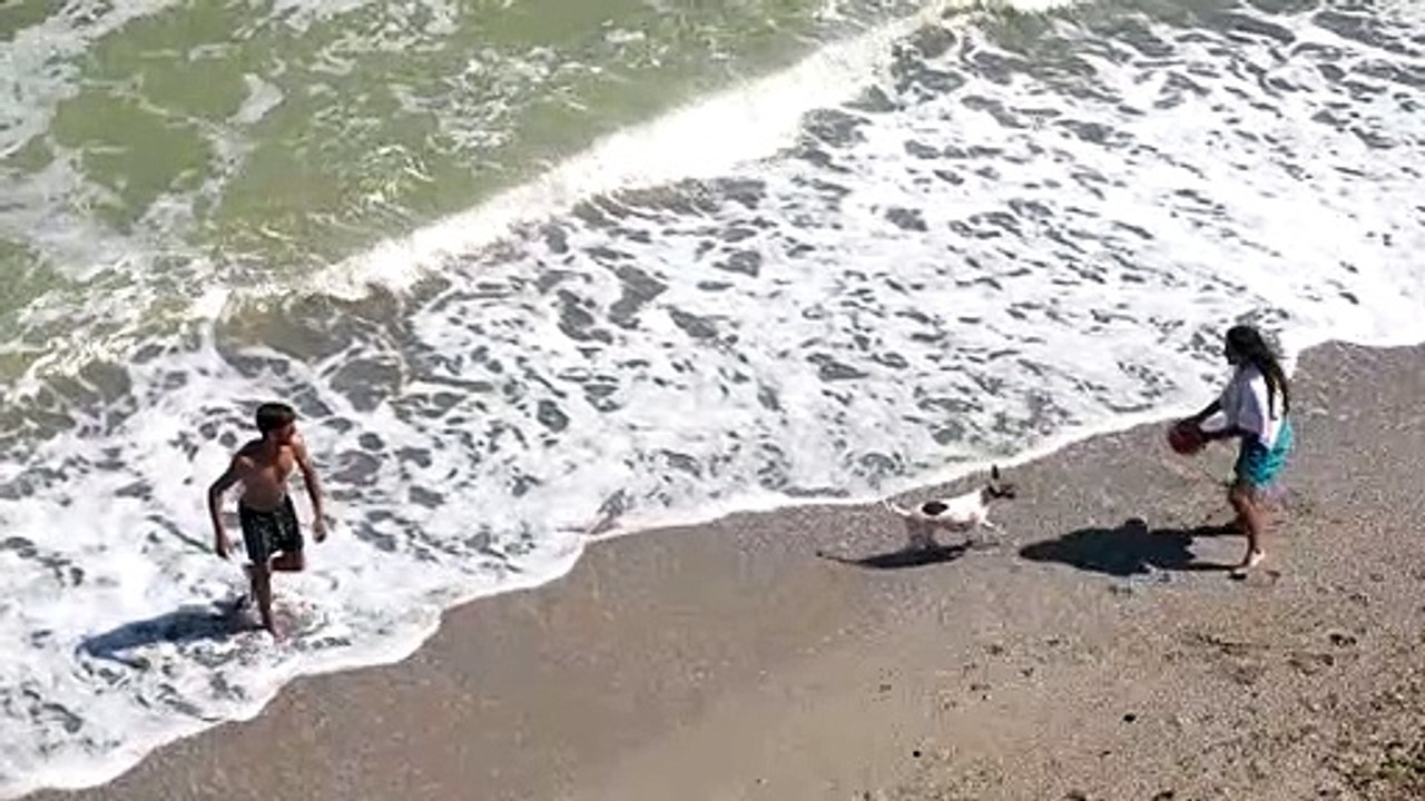 Summer Beach Sea Ocean Water Vacation Sand