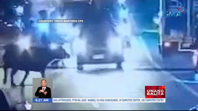 6 sasakyan, nasira matapos magwala ang isang kalabaw sa kalsada | UB