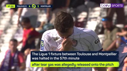 Toulouse v Montpellier halted due to reported tear gas use