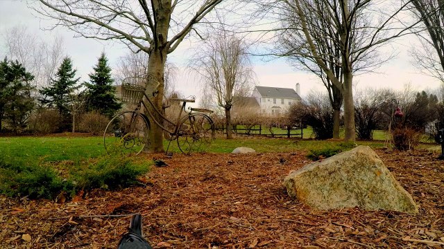 Calm Background Inspirational Music for Relaxation and Stress Relief - Calm Music with Birds - RexlRana Music 2022