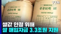 쌀값 안정 위해 매입 자금 3.3조 원 추가 지원 / YTN