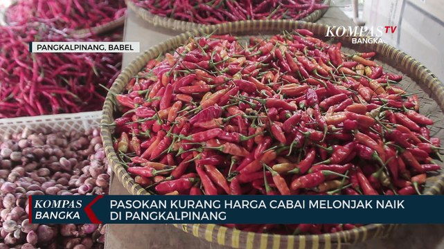 Harga Cabai Rawit Melonjak Naik di Pangkalpinang