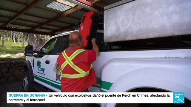 Incendio en Isla de Pascua dañó de forma irreparable icónicas estatuas Moái