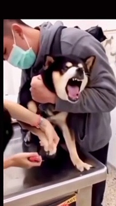 Funny video.