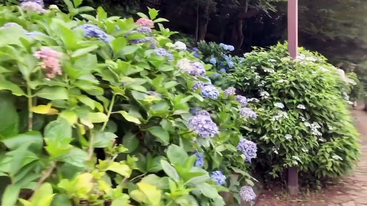 TOKYO life vlog 09