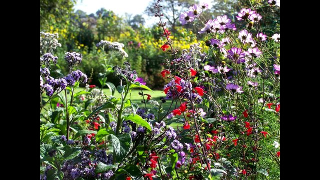 fleurs-et-jardins-rogimage
