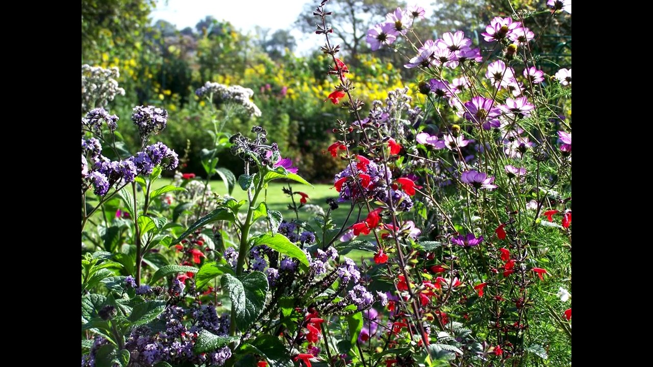 fleurs-et-jardins-rogimage