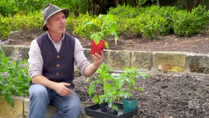 Gardening Australia episode 27 2022