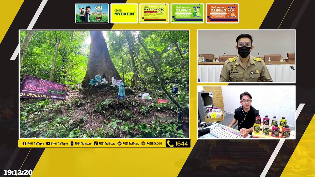 สำรวจโพรงต้นช้าม่วง ต้นตอโรคฮิสโตพลาสโมซิส : DJ อยากแชร์ : 8 ตุลาคม 2565