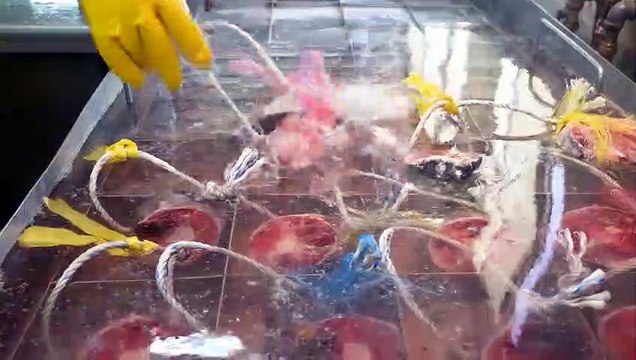 A tuna factory that produces 11,000 fish per month – the process of producing an enormous amount of tuna at 20 tons per day┃tuna factory _ Korean food factory