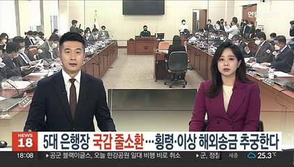 5대 은행장 국감 줄소환…횡령·이상 해외송금 추궁한다