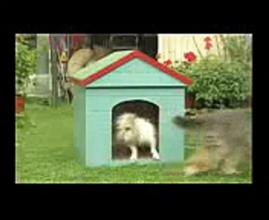 Cbeebies Come Outside SNAILS - video Dailymotion