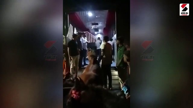 Video:જામનગરના રસ્તાઓ પર અનેક ઘોડાઓ જોવા મળ્યા