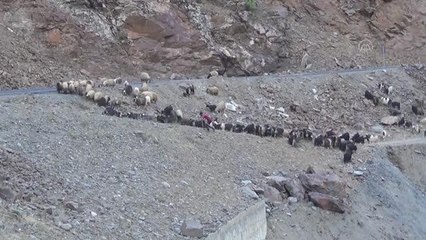 Göçerlerin eve dönüş yolculuğu devam ediyor