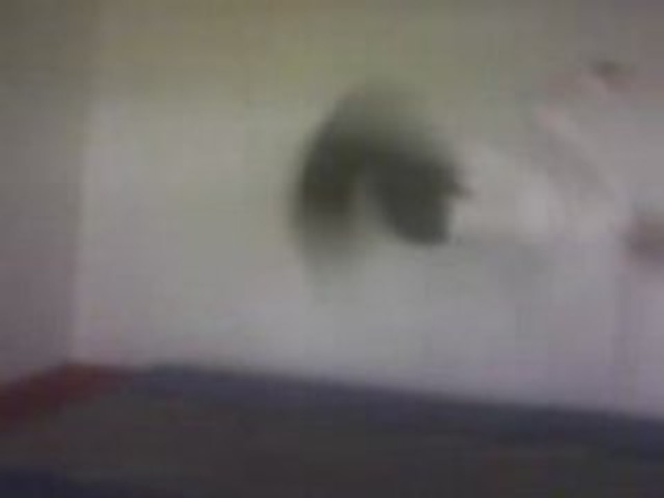 Flo salto