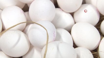 Yumurtada fiyatlar haftalık değişiyor